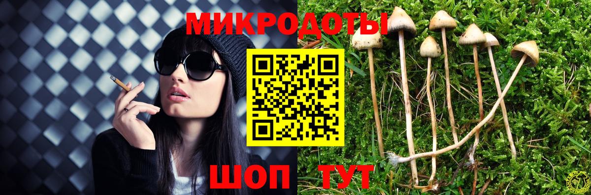 Звенигород  Галлюциногенные грибы прущие грибы  Галлюциногенные грибы GOLDEN TEACHER  Вход с VPN 