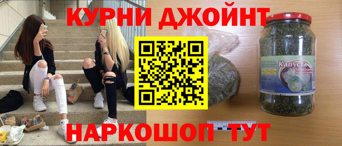 Бошки марихуана сатива  Конопля сатива  Звенигород  МАРИХУАНА планчик  Вход с VPN 